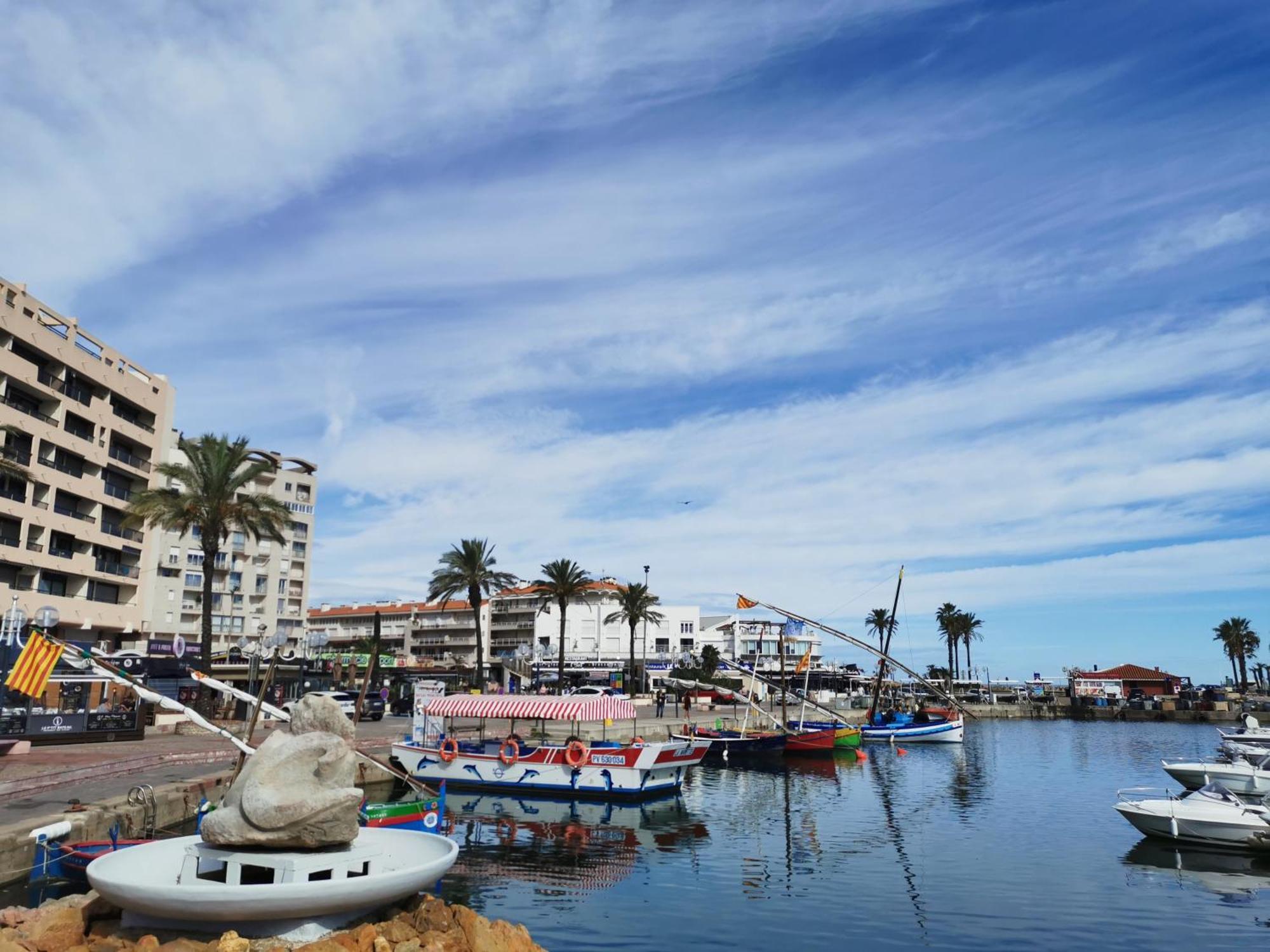 Appartement Refait A Neuf, Climatise Avec Vue Mer Et Montagne, Avec Place De Parking Privative Saint-Cyprien  Exterior foto