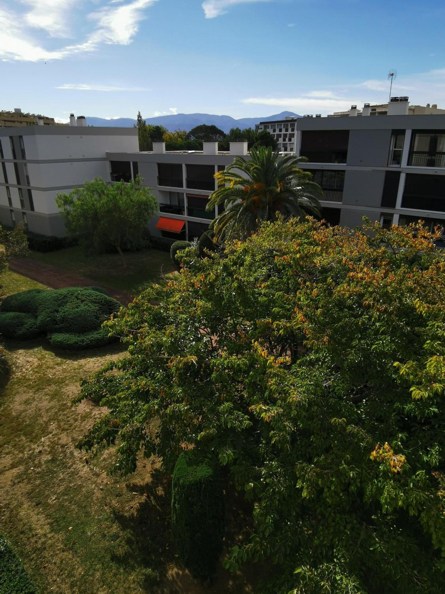 Appartement Refait A Neuf, Climatise Avec Vue Mer Et Montagne, Avec Place De Parking Privative Saint-Cyprien  Exterior foto